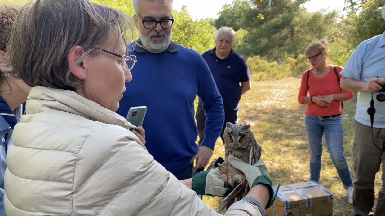 CENTRO_FAUNA_SELVATICABRINDISI_MAGGIO_23_1.jpg