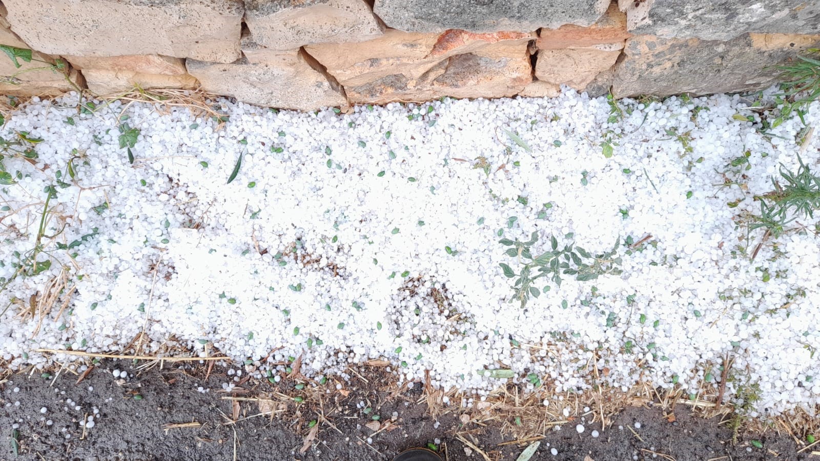 Maltempo_Grandinata_killer_in_Puglia_Alberobello_imbiancata1jpg.jpg