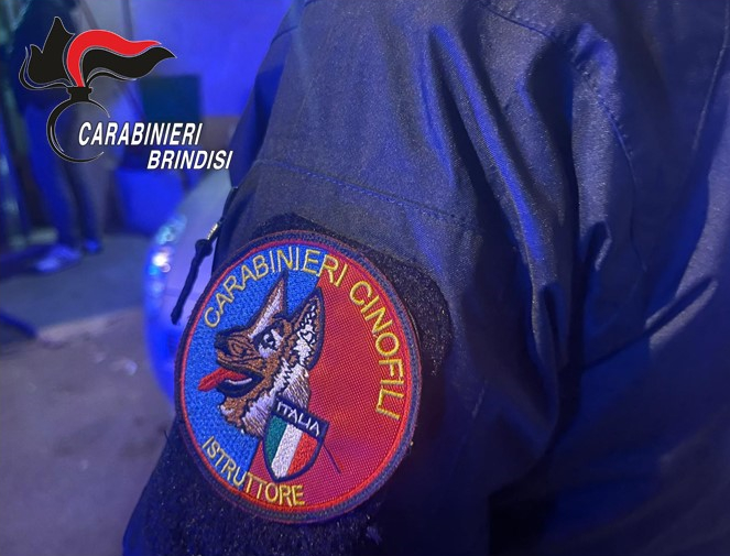 carabinieri_cinofili_logo.jpg