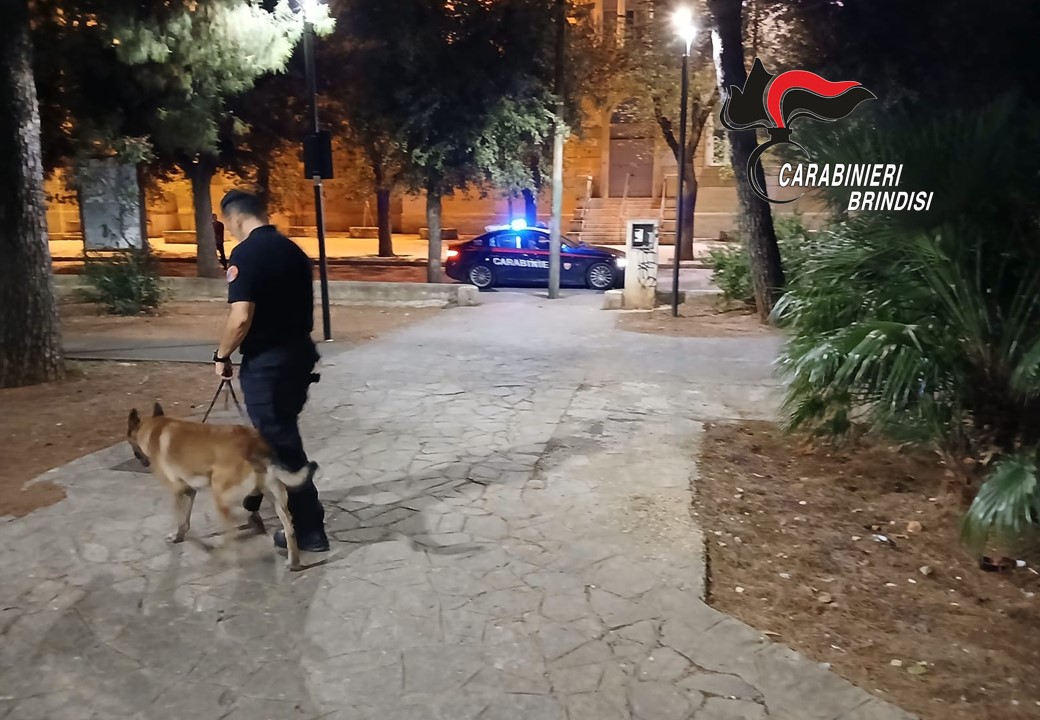 carabinieri_fasano_antidroga_1.jpg