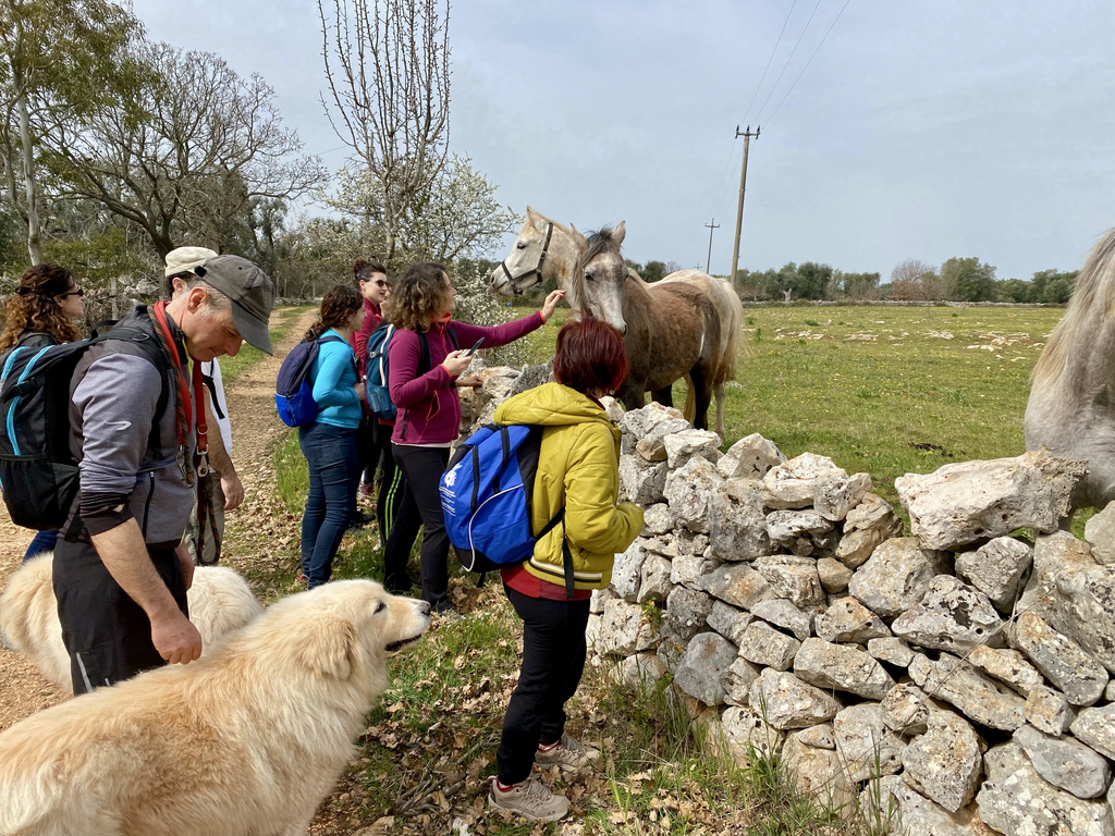 cicloamici_mesagne_trekking_2.jpeg