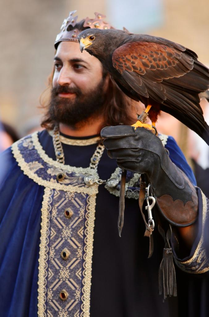 fiera_medievale_franca_2023_falconiere.jpg