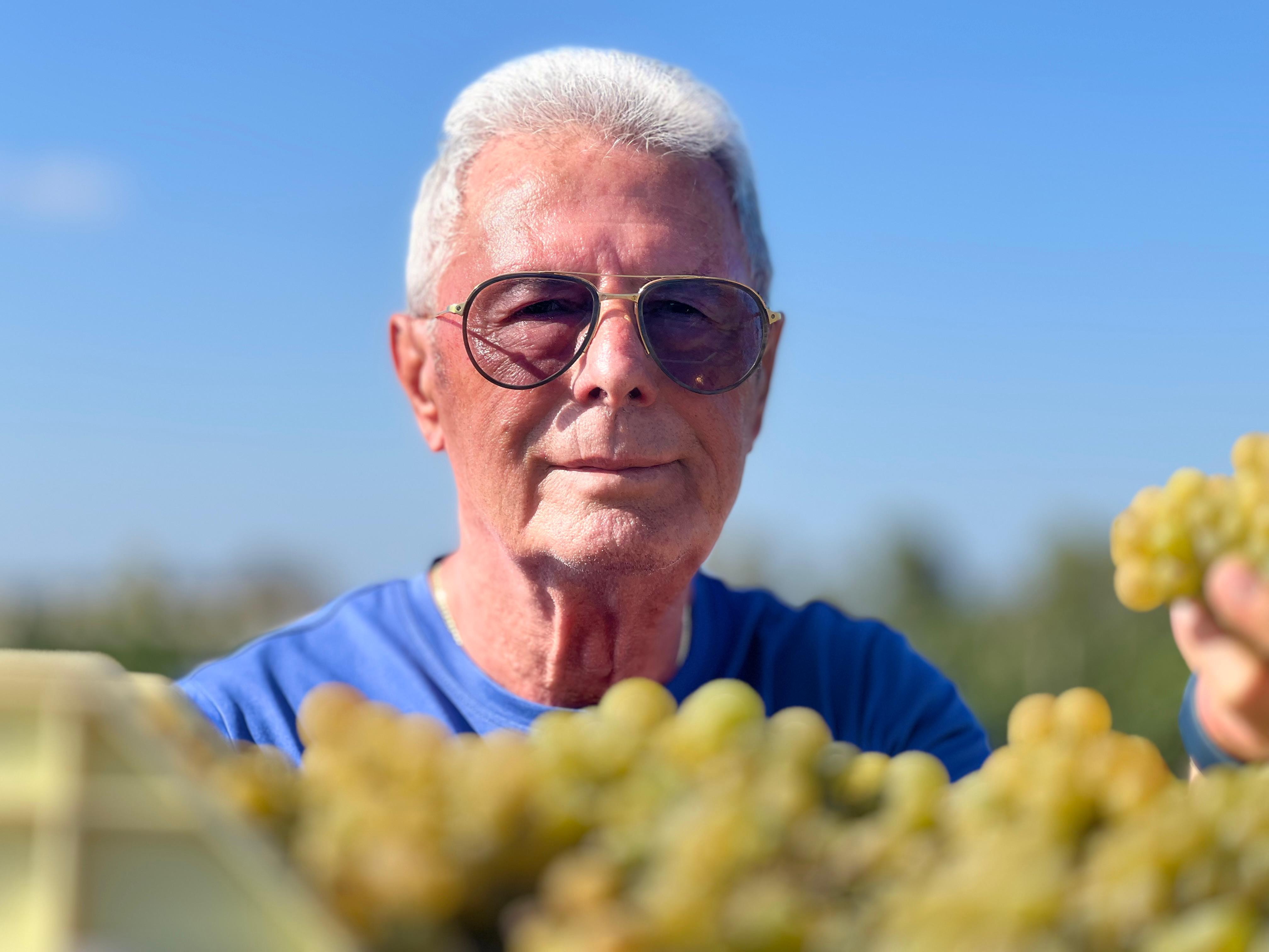 maci_angelo_vendemmia_2024_1.jpg