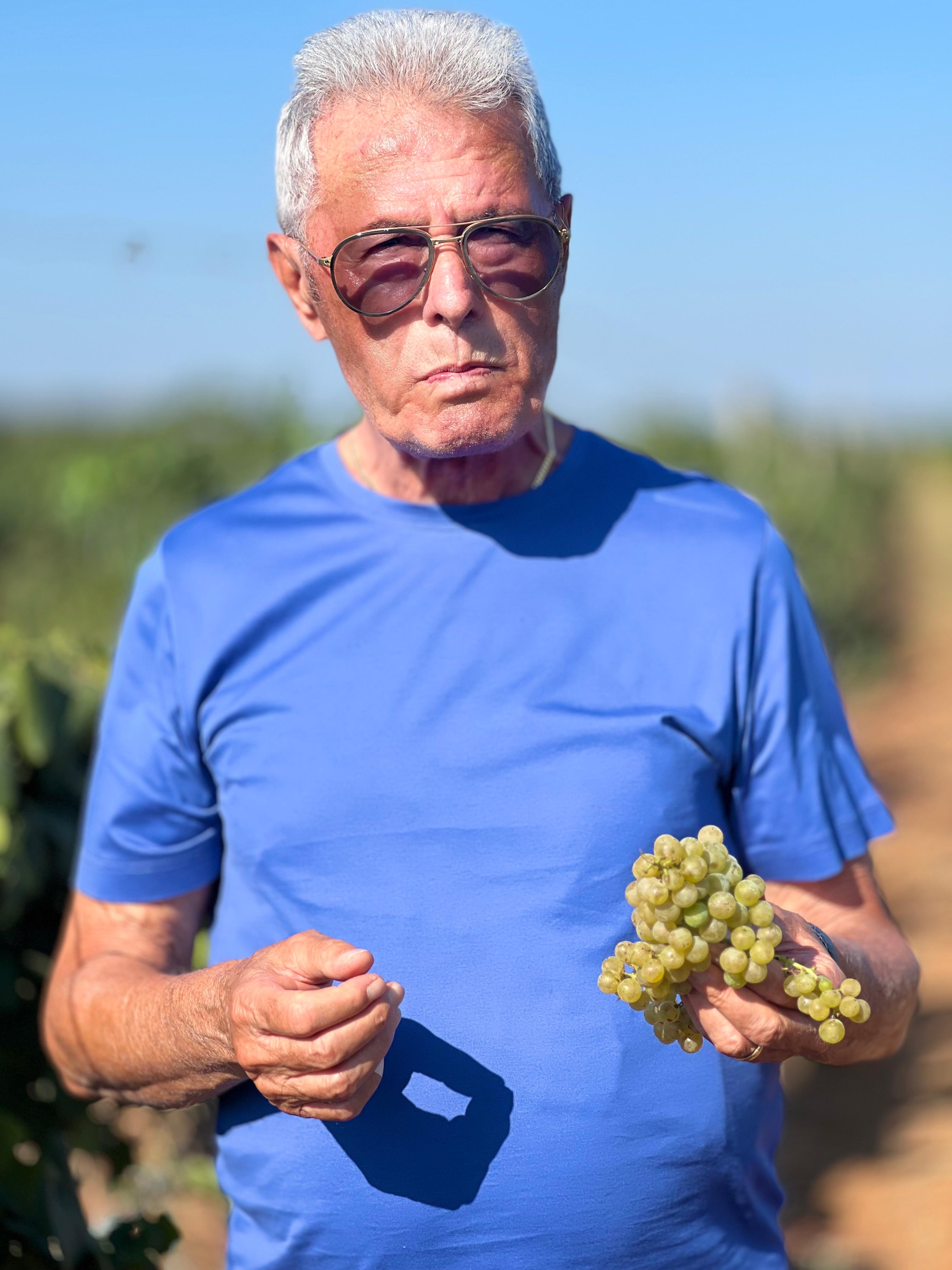 maci_angelo_vendemmia_2024_2.jpg