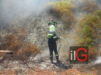 incendio ser protezione civile mesagne 2