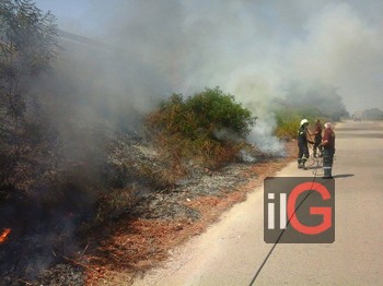 incendio ser protezione civile mesagne 3