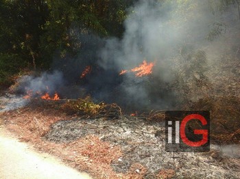 incendio ser protezione civile mesagne 4