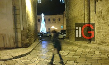 piazza porta grande con albero