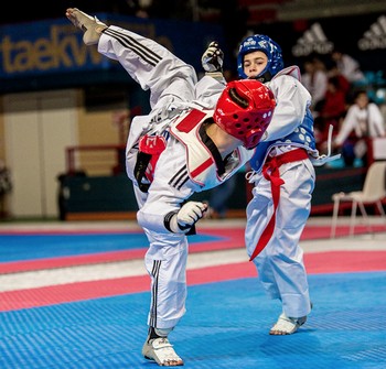 taekwondo logo