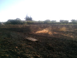 terreno bruciato adiacente la cantina sociale