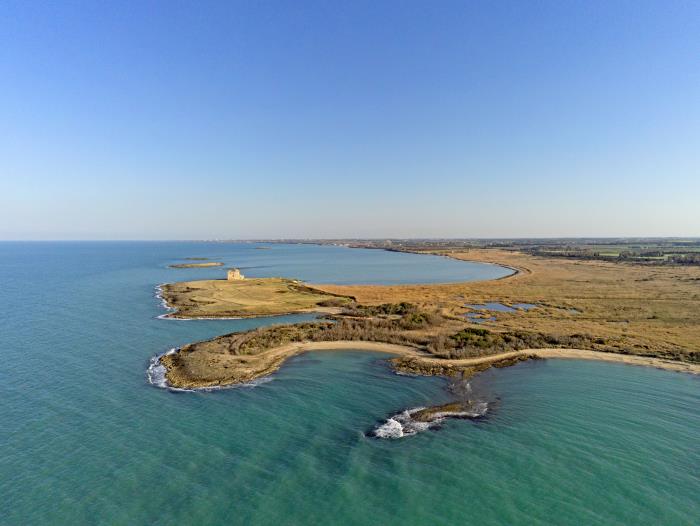 torre_guaceto_panoramica_dallalto1.jpg