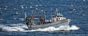 BATTUTA D&#039;ARRESTO PESCA (-40%) PER CHIUSURA 20MILA RISTORANTI; MA CRESCONO ACQUISTI PESCE SURGELATO