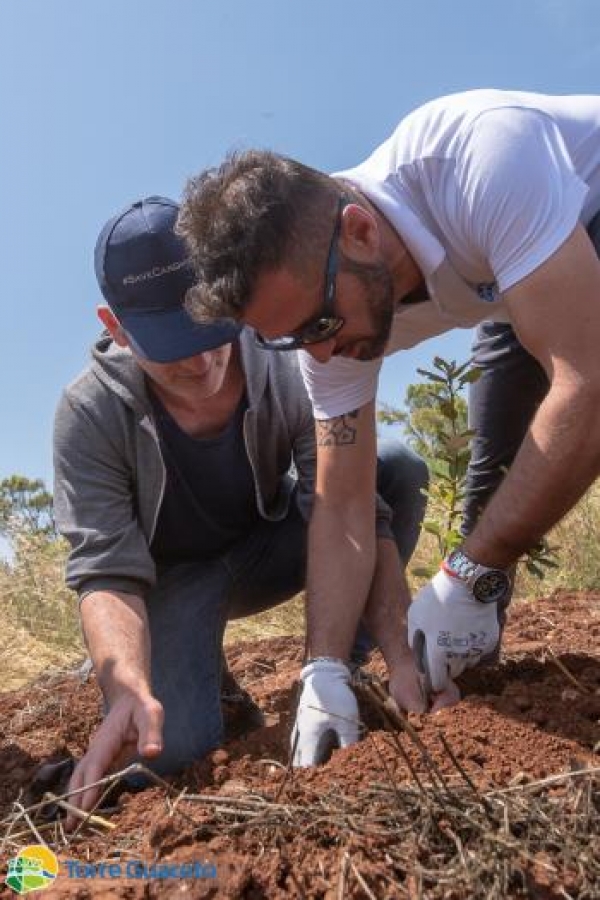 Torre Guaceto arriva il finanziamento regionale: l&#039;area distrutta con un atto doloso rinascerà