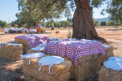 COLDIRETTI PUGLIA, 1 AZIENDA AGRICOLA SU 5 IN CRISI PER STOP RISTORANTI