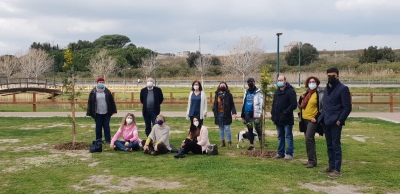 Brindisi bene comune dona due alberi di mimosa alla città