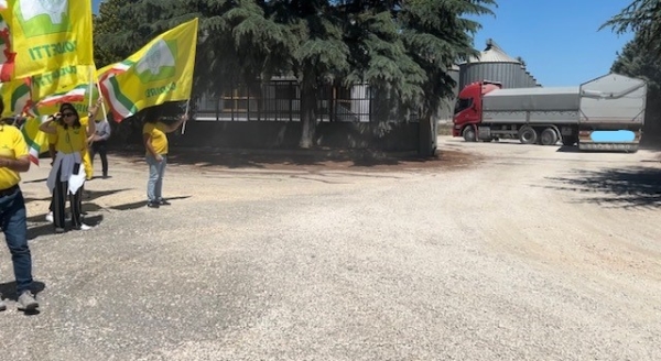 Gli agricoltori di Coldiretti hanno seguito  i tir che hanno scaricato il frumento in Puglia