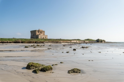 A Torre Guaceto la tappa pugliese di The Road to Terra Madre dedicata alla rigenerazione degli ecosistemi