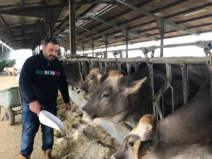 COLDIRETTI PUGLIA, GUERRA TAGLIA 10% RAZIONI A MUCCHE E MAIALI