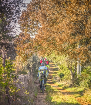 Cicloturismo: “C’è lo spot, ma non i servizi”