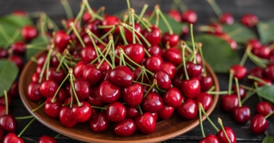 INFLAZIONE: COLDIRETTI PUGLIA, VOLA IN 1 ANNO MA NEI CAMPI 1 KG DI CILIEGIE COSTA MENO DI UN CAFFÈ;