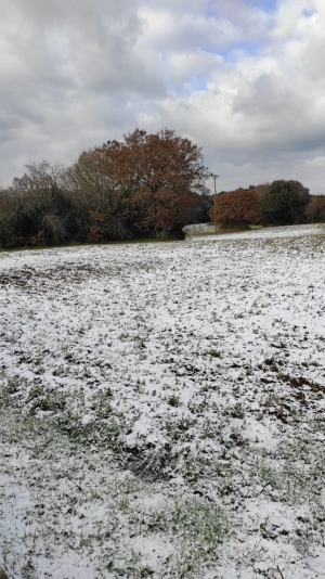 MORSA DI GELO CON NEVE A BASSA QUOTA E LASTRE DI GHIACCIO; STRADE BLOCCATE E VERDURE BRUCIATE IN CAMPO