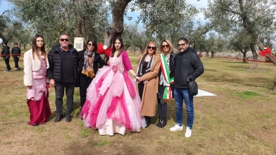 Un albero di olivo per ricordare Melissa Bassi