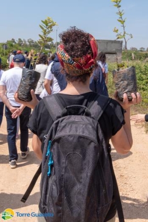 Una domenica nell&#039;uliveto di Torre Guaceto per fare del bene alla natura