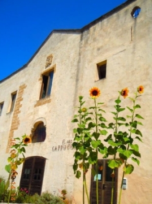 Mesagne e il Monastero del Terzo Millennio, in occasione del 24 anniversario di ISBEM