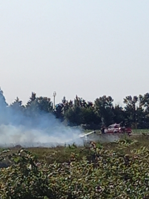 Mesagne. Incendio a Malvindi-Campofreddo (Guarda il video)