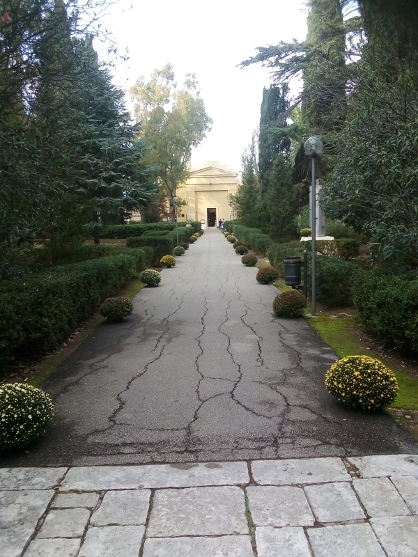 Cimitero di Mesagne. Rubate le cucce dei gatti