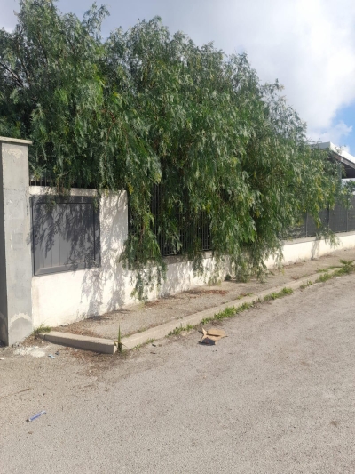 Un albero prima e dopo la potatura