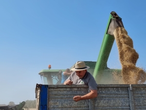 PREZZI: COLDIRETTI PUGLIA, A MAGGIO ANCORA IN SALITA PER PANE E PASTA