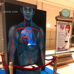 Mesagne. Alla scoperta del corpo umano, al centro commerciale AppiAntica la mostra interattiva