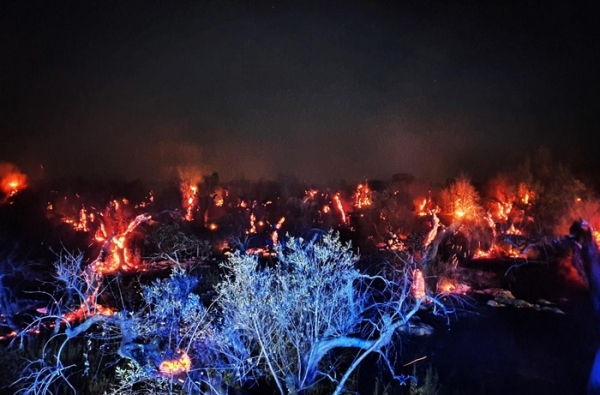 Caldo: Coldiretti Puglia, saliti a 118 incendi ad Ugento in 2 mesi; bilancio roghi +24% rispetto al 2019