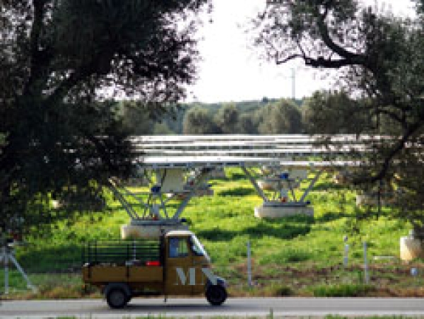 CONSUMO SUOLO: COLDIRETTI PUGLIA, MANGIATI IN PUGLIA 6.130 ETTARI DA PANNELLI FOTOVOLTAICI A TERRA