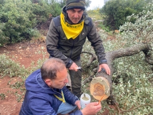 PER ILLEGALITÀ AMBIENTALE PUGLIA AL TERZO POSTO