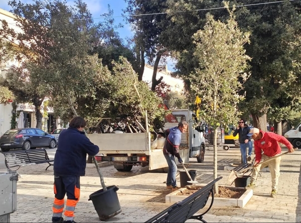 Mesagne. Si piantano nuovi alberi