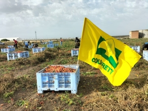 ECOMAFIE: COLDIRETTI PUGLIA, CAMPAGNE E AREE NATURALI DISCARICHE DI RIFIUTI A CIELO APERTO