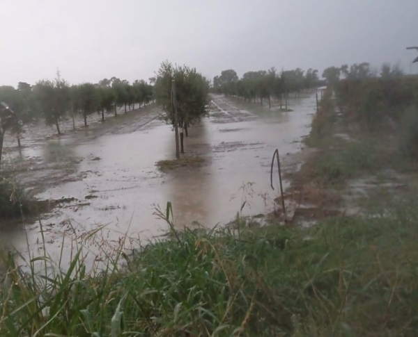 MALTEMPO: COLDIRETTI PUGLIA, SI CONTANO DANNI A BRINDISI