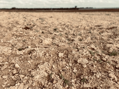 SICCITÀ: COLDIRETTI PUGLIA, SCENARIO SI AGGRAVA CON POZZI FUORI USO