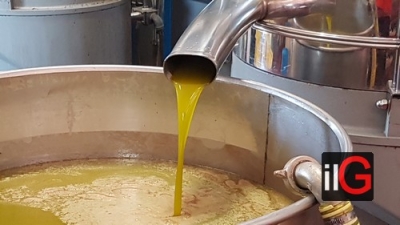 OLIO: COLDIRETTI PUGLIA, A RUBA EVO PUGLIESE CON -75% DI SFUSO NEI FRANTOI