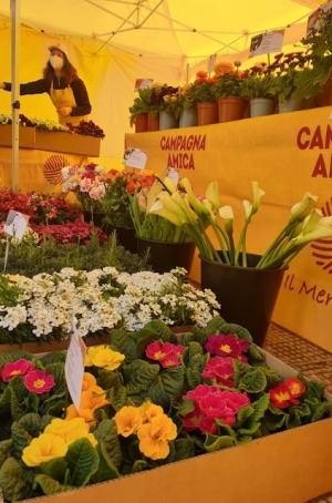 SAN VALENTINO: COLDIRETTI PUGLIA, ACQUISTARE FIORI MADE IN ITALY