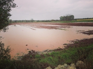 COLDIRETTI PUGLIA, DILUVIO UNIVERSALE IN SALENTO; CON NUBIFRAGI E TROMBE D&#039;ARIA