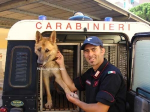 Detiene in casa hashish, marijuana e cocaina, arrestato