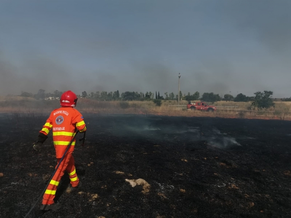 Mesagne. Vasti incendi minacciano Masseria Canali