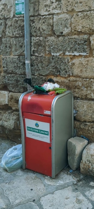 Mesagne. Cassonetto deiezioni traboccante