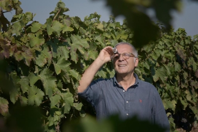 Carmine Dipietrangelo, Amministratore di Tenute Lu Spada