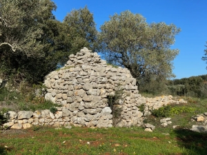 Domenica 8 gennaio, escursione a piedi tra trulli, specchie e palmenti sulle incantate colline di Casalini