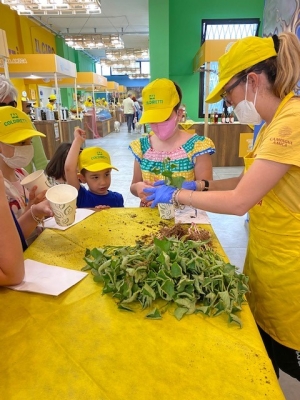 FESTA MAMMA: COLDIRETTI PUGLIA, PIÙ EDUCAZIONE ALIMENTARE A SCUOLA