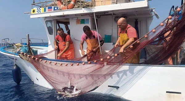 COLDIRETTI PUGLIA, CARO GASOLIO FERMA IN BANCHINA FLOTTA PUGLIESE